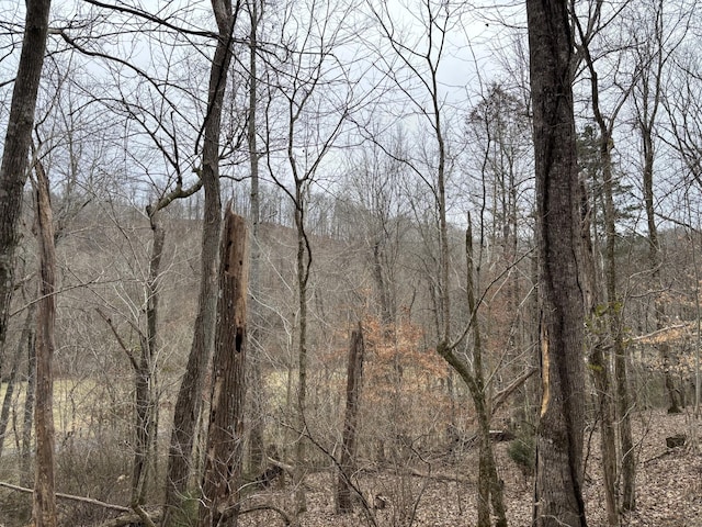 0 Cathcart Rd, Frankewing, TN 38459 - photo 10