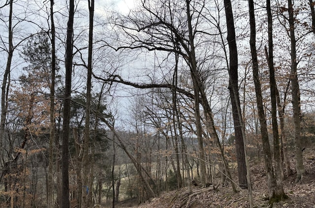 0 Cathcart Rd, Frankewing, TN 38459 - photo 5
