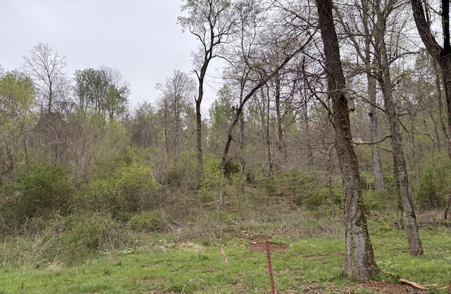 0 Cathcart Rd, Frankewing, TN 38459 - photo 6