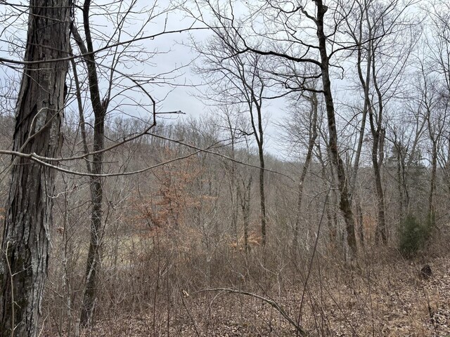 0 Cathcart Rd, Frankewing, TN 38459 - photo 4