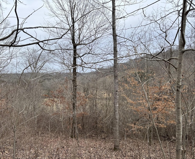 0 Cathcart Rd, Frankewing, TN 38459 - photo 3