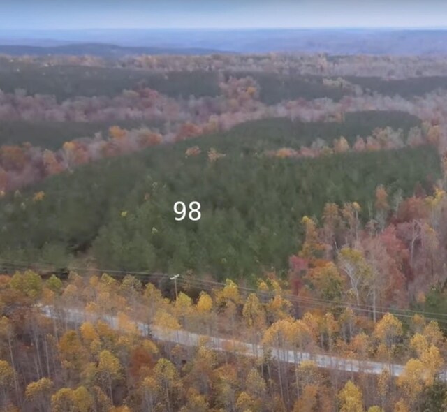 4422 Old Hohenwald Rd, Linden, TN 37096 - aerial view of property and surrounding area with a forest
