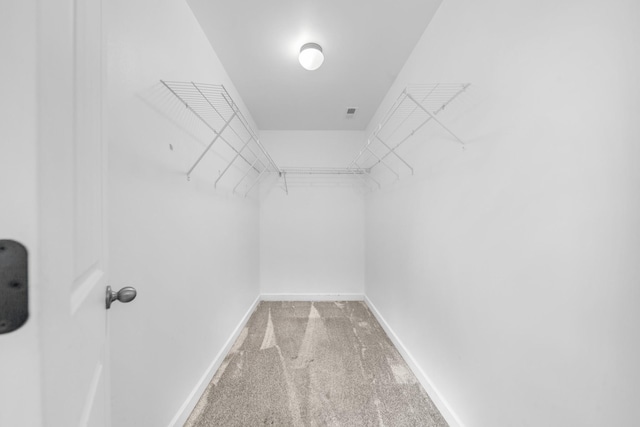 109 Tindell Ln, Columbia, TN 38401 - walk in closet featuring carpet flooring
