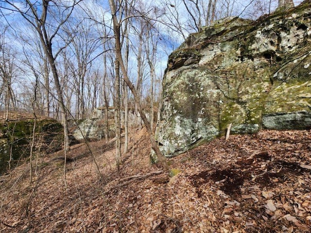 203 Crestview Ln, Sparta, TN 38583 - photo 10