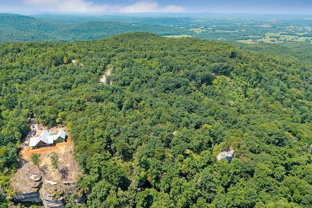 203 Crestview Ln, Sparta, TN 38583 - photo 4