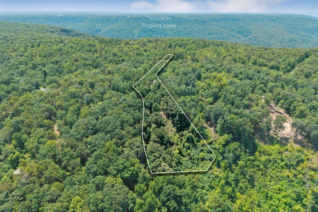 203 Crestview Ln, Sparta, TN 38583 - photo 1