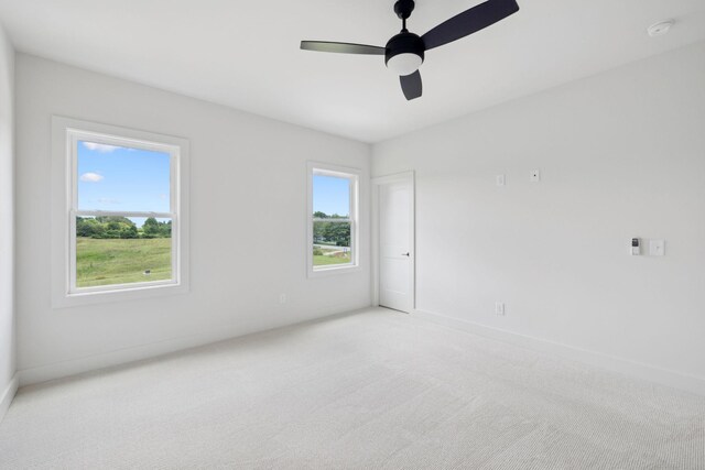 1897 New Lewisburg Hwy, Columbia, TN 38401 - photo 58