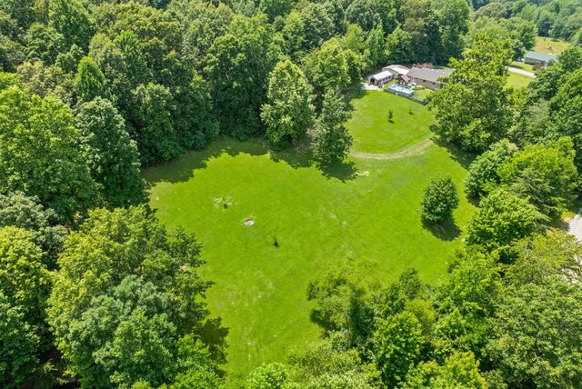 6380 Cansler Subdivision Rd, Hopkinsville, KY 42240 - photo 43