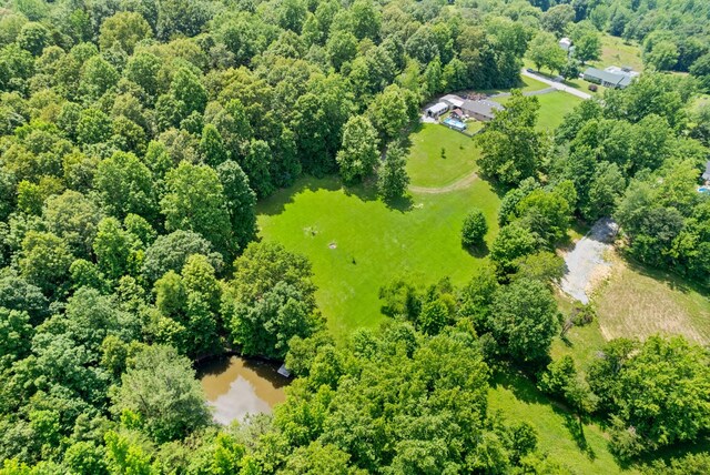 6380 Cansler Subdivision Rd, Hopkinsville, KY 42240 - photo 45