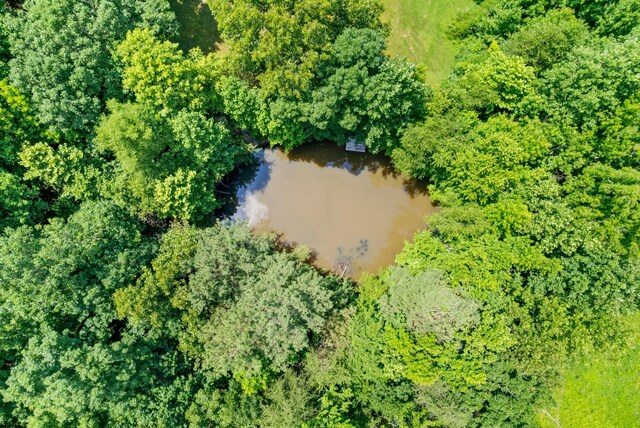 6380 Cansler Subdivision Rd, Hopkinsville, KY 42240 - photo 44