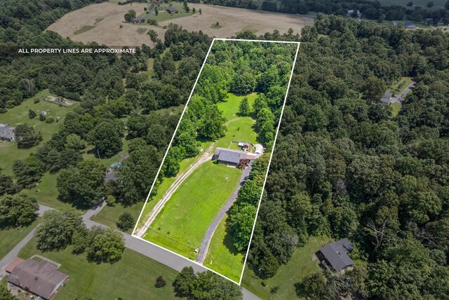 6380 Cansler Subdivision Rd, Hopkinsville, KY 42240 - photo 48