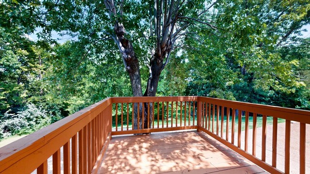 3020 Vistavalley Ct, Nashville, TN 37218 - photo 17