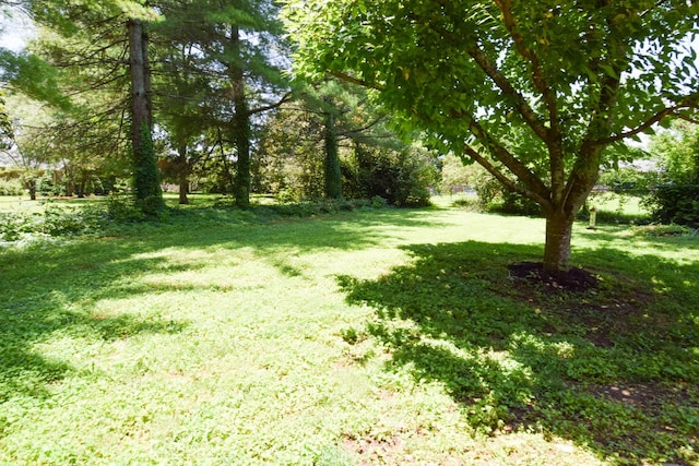 111 River Chase, Hendersonville, TN 37075 - photo 92