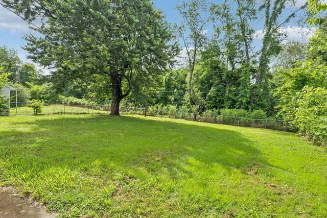 136 Story Book Dr, Clarksville, TN 37042 - photo 23