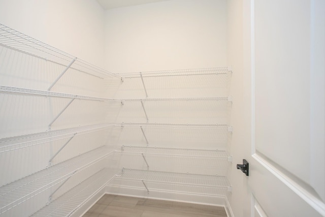 2359 Williamsport Lndg, Columbia, TN 38401 - view of pantry
