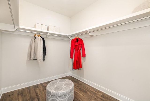1234 Wrights Mill Rd, Spring Hill, TN 37174 - walk in closet featuring wood finished floors