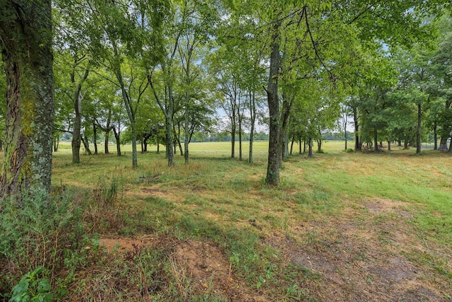 0 Dooley Rd, Ethridge, TN 38456
