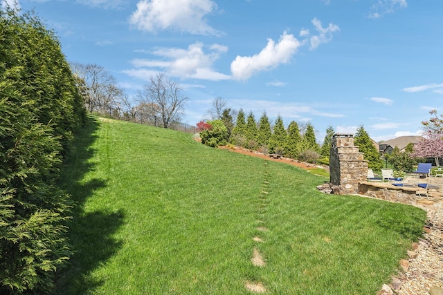 9133 Holstein Dr, Nolensville, TN 37135 - photo 80