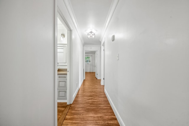 116 Skyview Dr, Columbia, TN 38401 - corridor featuring crown molding and wood finished floors