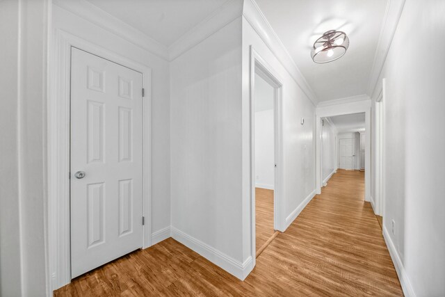 116 Skyview Dr, Columbia, TN 38401 - hallway with light wood-type flooring and crown molding