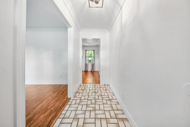 116 Skyview Dr, Columbia, TN 38401 - hall with crown molding and light wood finished floors