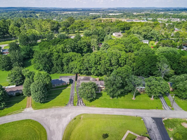116 Skyview Dr, Columbia, TN 38401 - aerial view