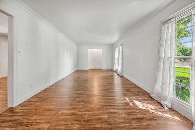 116 Skyview Dr, Columbia, TN 38401 - empty room featuring plenty of natural light, crown molding, and wood finished floors