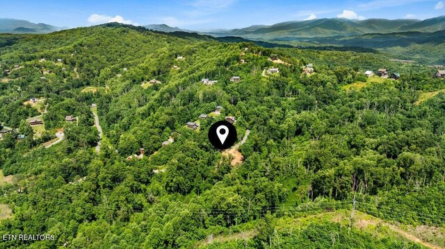 0 E Kings Ridge Rd, Gatlinburg, TN 37738 - photo 15