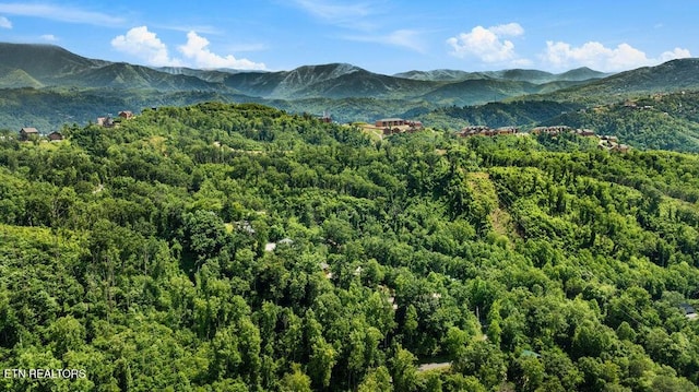 0 E Kings Ridge Rd, Gatlinburg, TN 37738 - photo 20