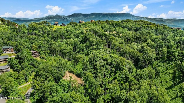 0 E Kings Ridge Rd, Gatlinburg, TN 37738 - photo 21
