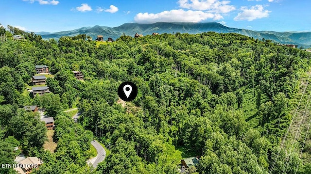 0 E Kings Ridge Rd, Gatlinburg, TN 37738 - photo 19