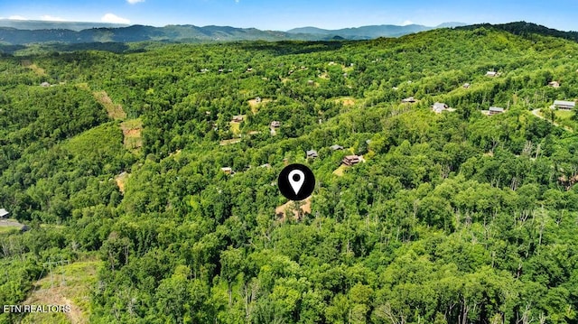 0 E Kings Ridge Rd, Gatlinburg, TN 37738 - photo 14