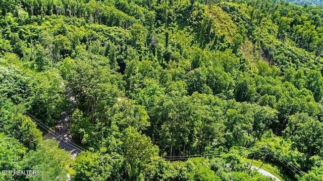 0 E Kings Ridge Rd, Gatlinburg, TN 37738 - photo 13