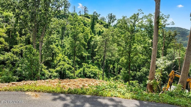 0 E Kings Ridge Rd, Gatlinburg, TN 37738 - photo 6
