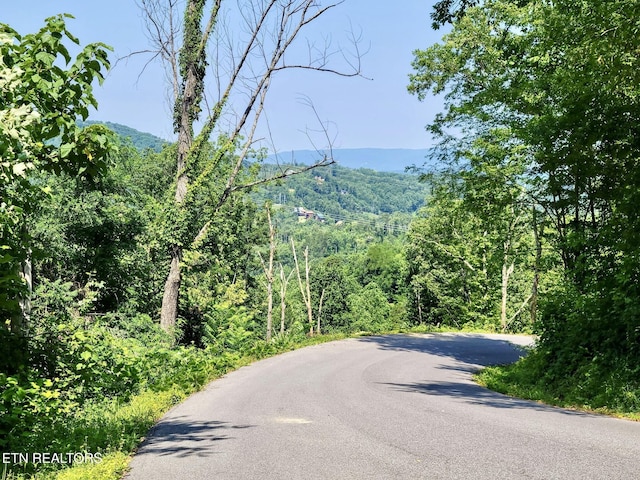0 E Kings Ridge Rd, Gatlinburg, TN 37738 - photo 5