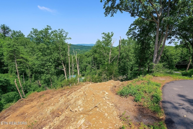 0 E Kings Ridge Rd, Gatlinburg, TN 37738 - photo 2