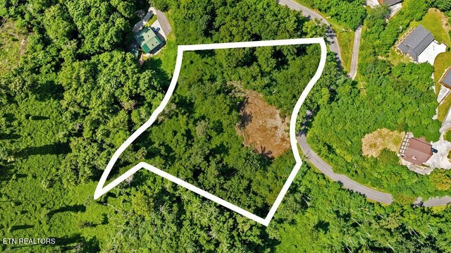 0 E Kings Ridge Rd, Gatlinburg, TN 37738 - photo 12