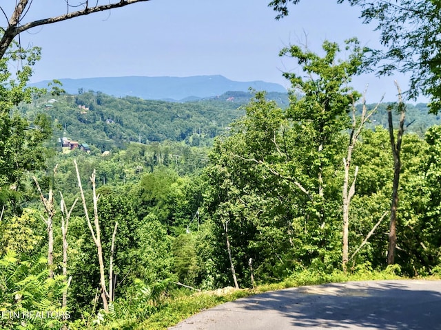 0 E Kings Ridge Rd, Gatlinburg, TN 37738 - photo 4