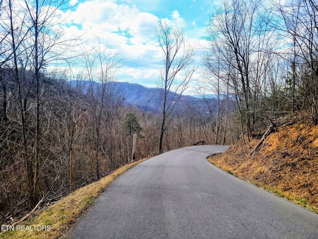 0 E Kings Ridge Rd, Gatlinburg, TN 37738 - photo 3