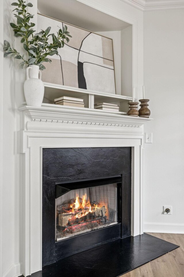 140 Ormesby Pl, Franklin, TN 37064 - detailed view of a warm lit fireplace and wood finished floors