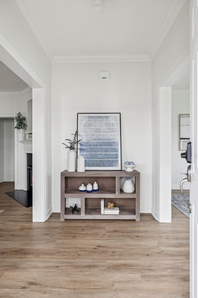 140 Ormesby Pl, Franklin, TN 37064 - corridor with wood finished floors and crown molding