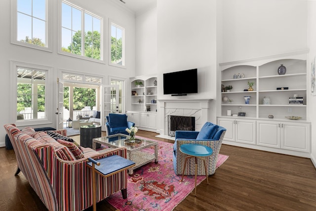 5605 Ottershaw Ct, Brentwood, TN 37027 - living area with a high ceiling, dark wood-style floors, a fireplace, and crown molding