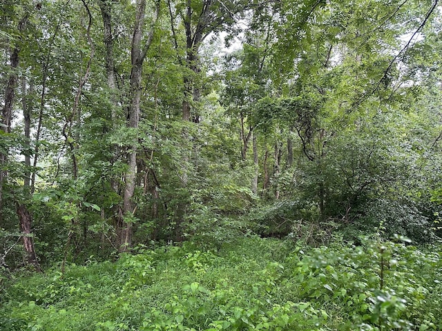 3 Saw Mill Rd, Palmer, TN 37365 - photo 3