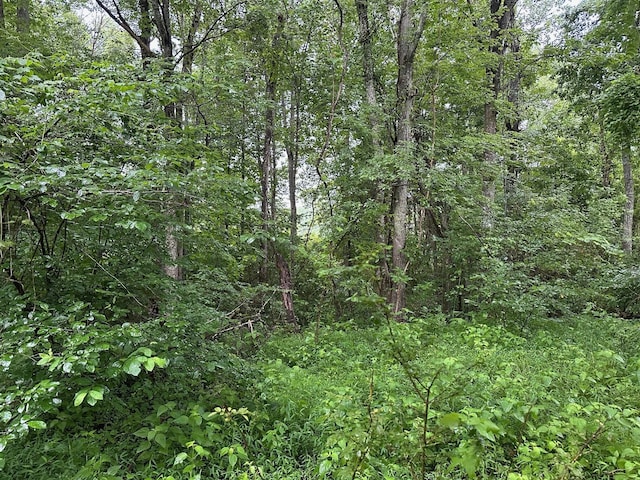 3 Saw Mill Rd, Palmer, TN 37365 - photo 2