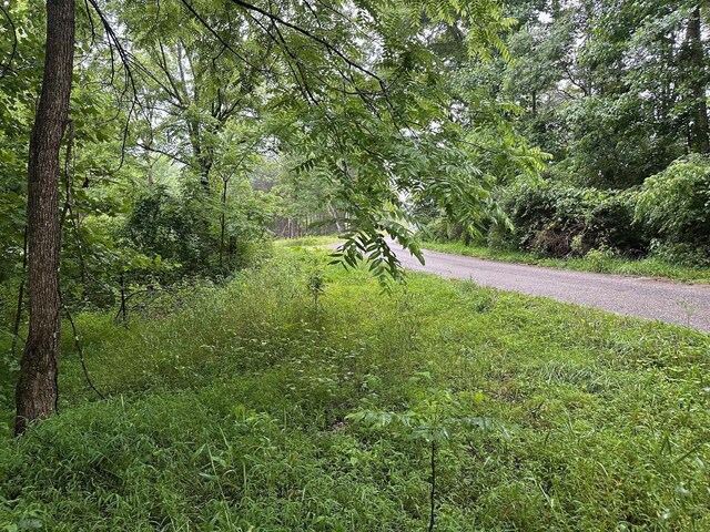 3 Saw Mill Rd, Palmer, TN 37365 - photo 5