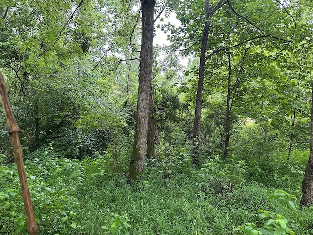 3 Saw Mill Rd, Palmer, TN 37365 - photo 1