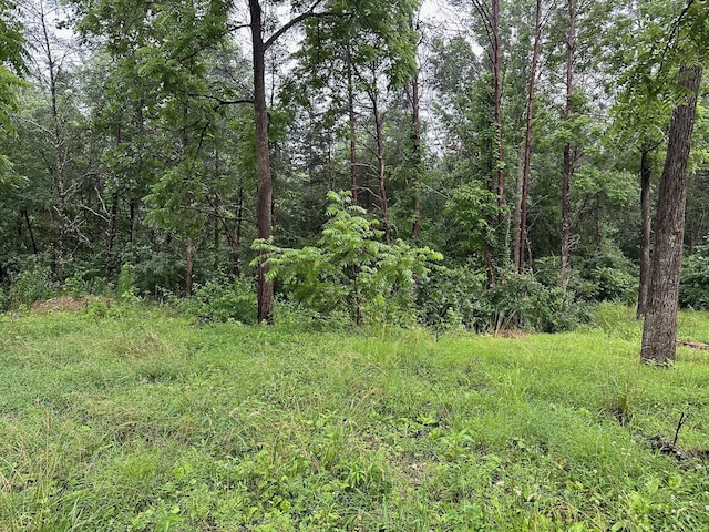 4 Saw Mill Rd, Palmer, TN 37365 - photo 2