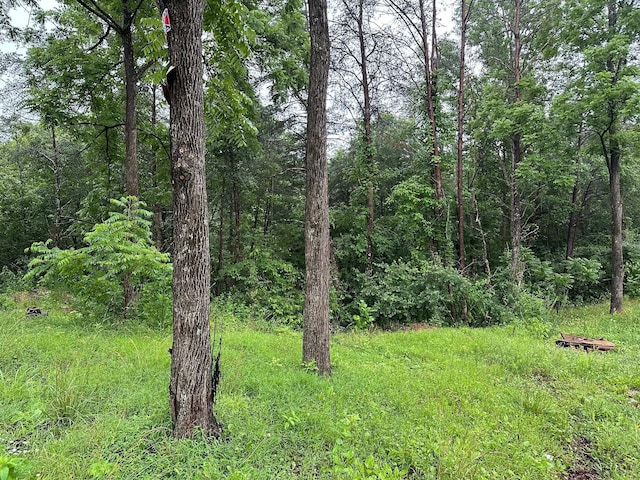 4 Saw Mill Rd, Palmer, TN 37365 - photo 8