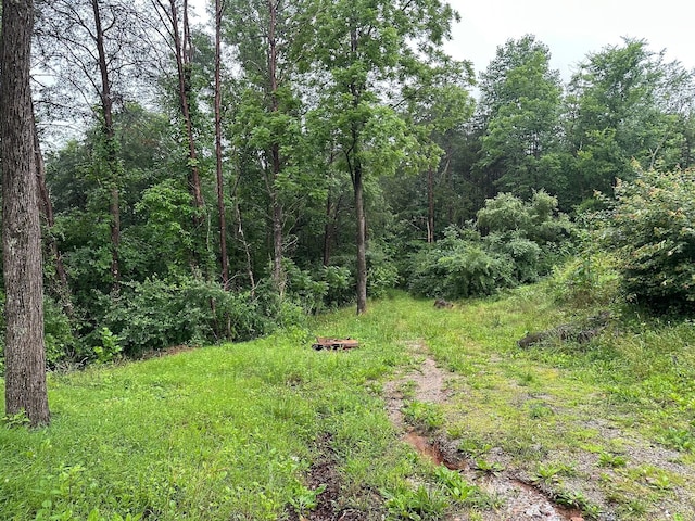 4 Saw Mill Rd, Palmer, TN 37365 - photo 7