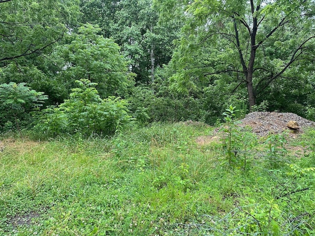 4 Saw Mill Rd, Palmer, TN 37365 - photo 4